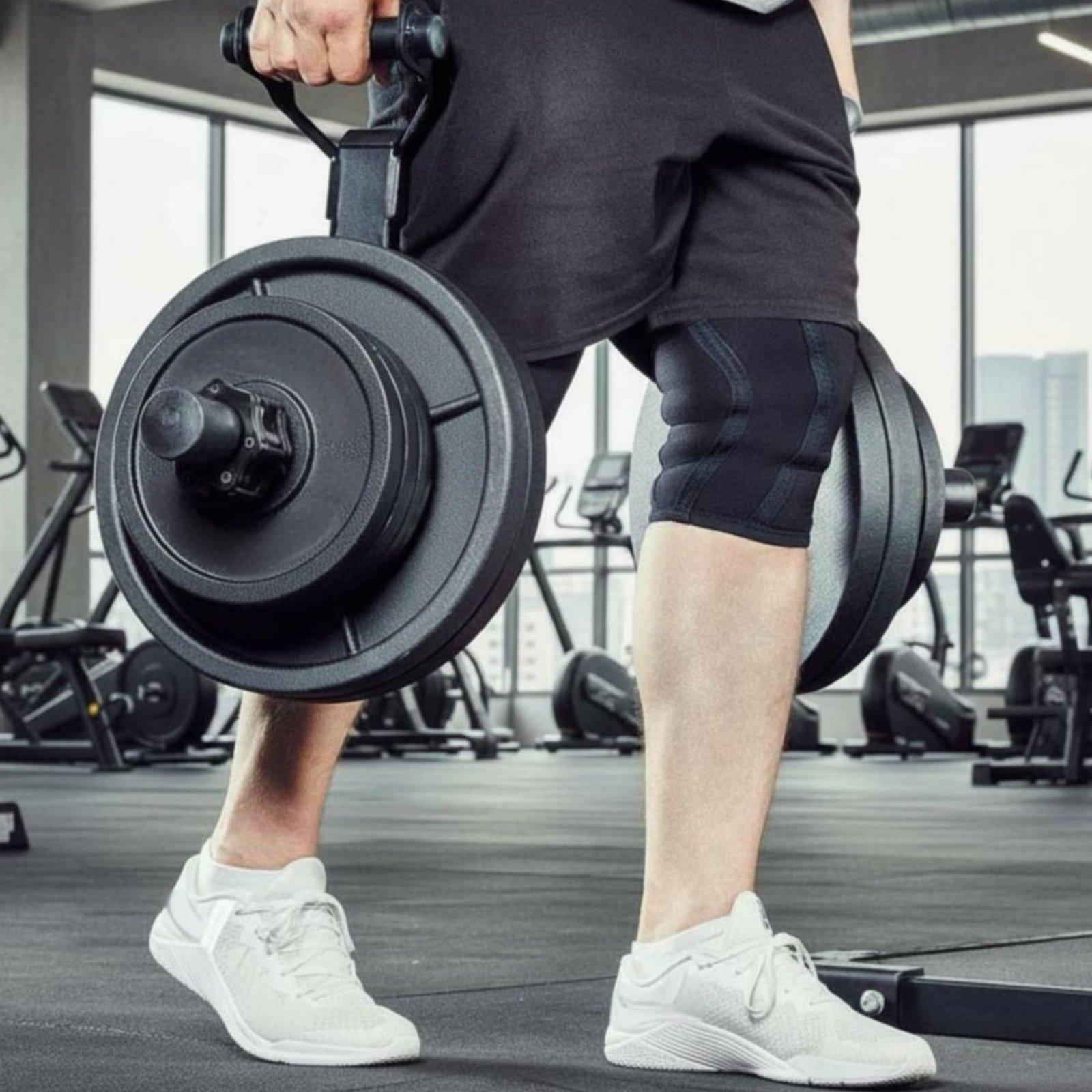 Multi-size Barbell Plate Holde - Home Gym Gym Equipment ulasan dan harga